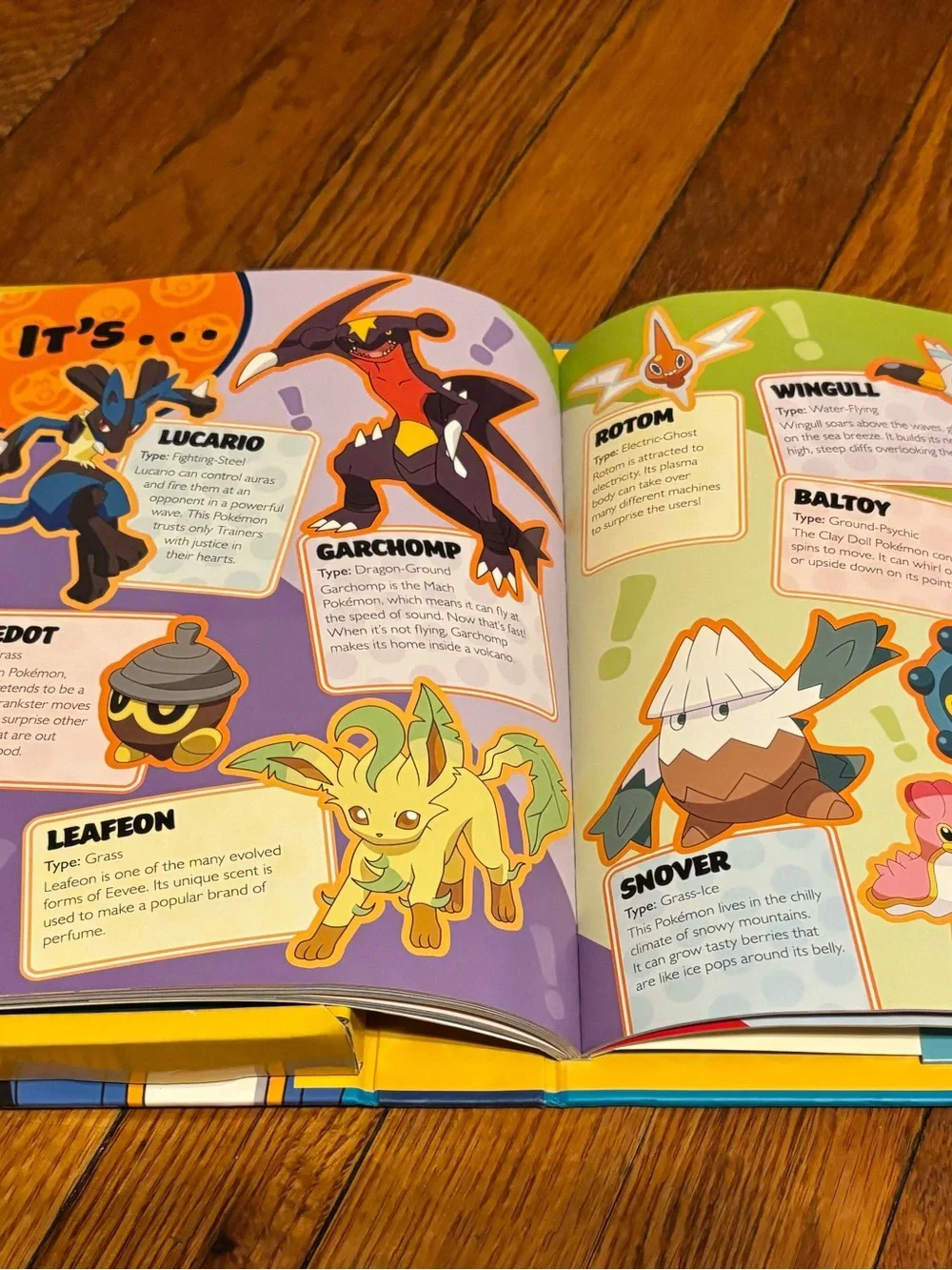 NWT Pokemon Trainers Guide Set